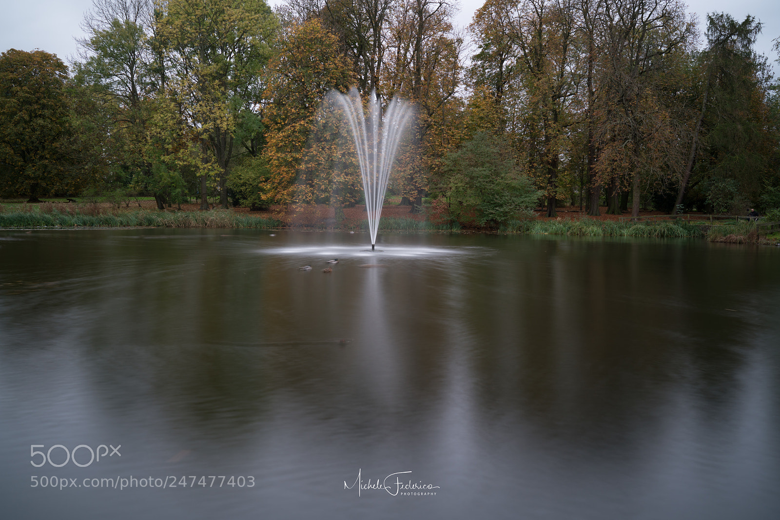 Sony a7R II sample photo. Untitled photography