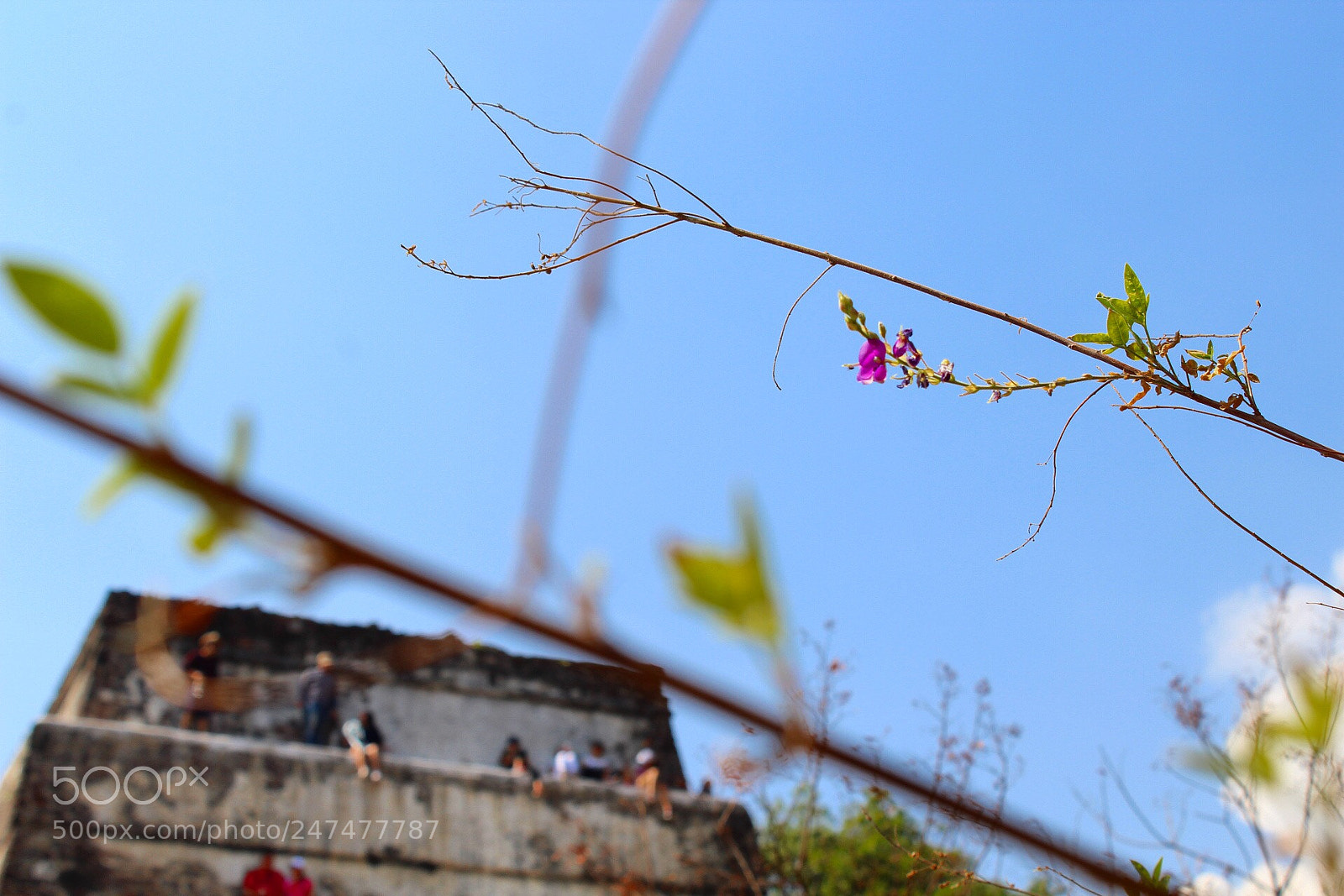 Canon EOS 1300D (EOS Rebel T6 / EOS Kiss X80) sample photo. The pyramid at the photography