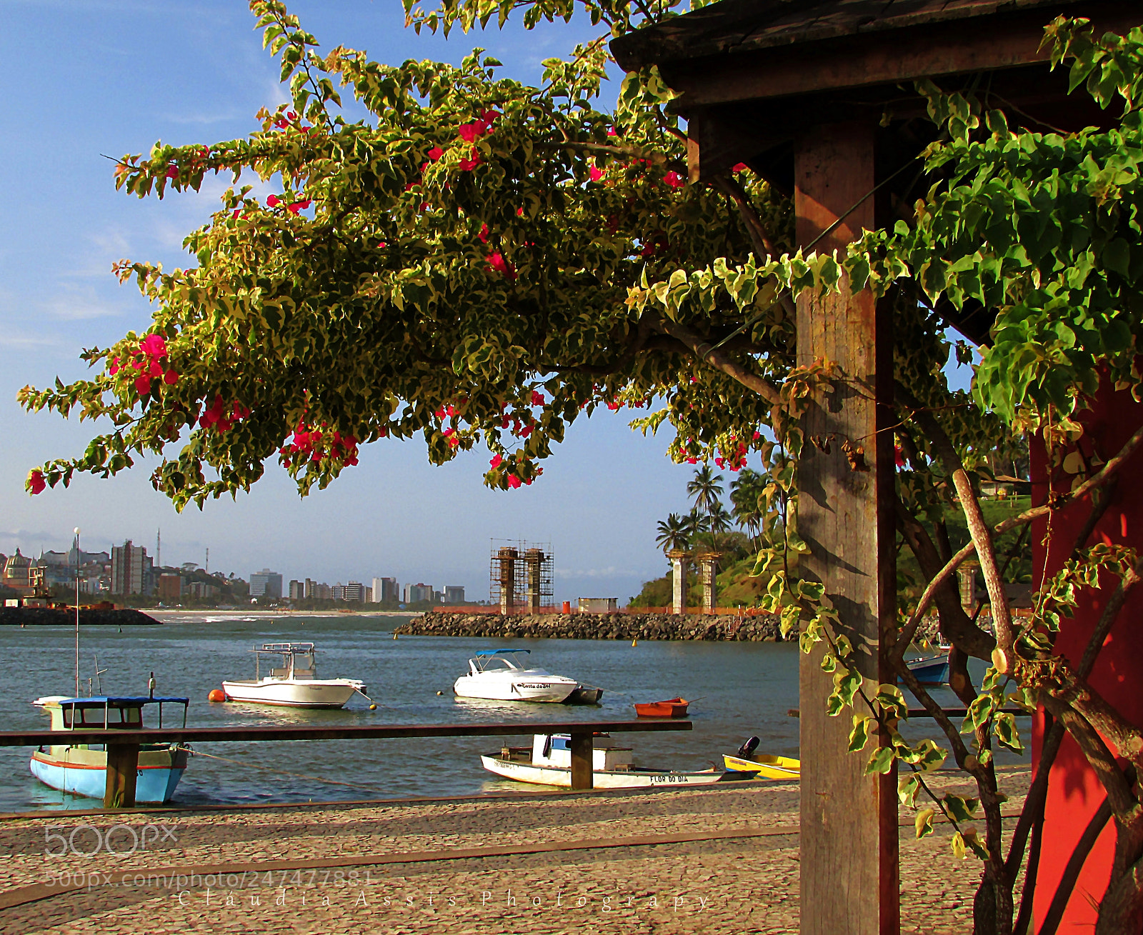 Canon PowerShot SX400 IS sample photo. Universo natural photography