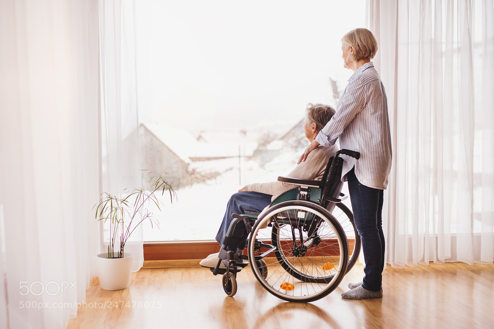 Nikon D5 sample photo. Senior women with wheelchair photography