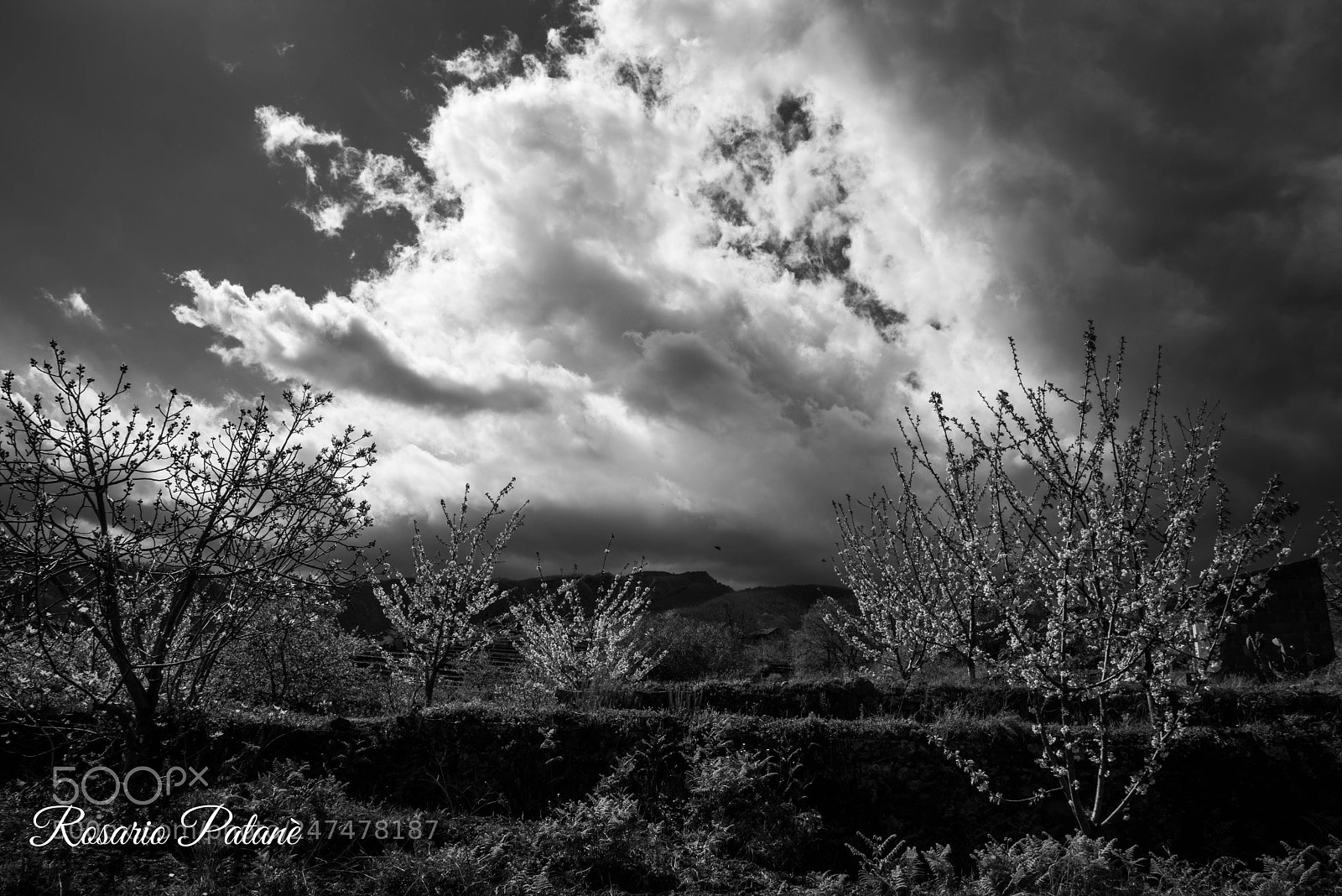 Sony a7R sample photo. Landscape photography