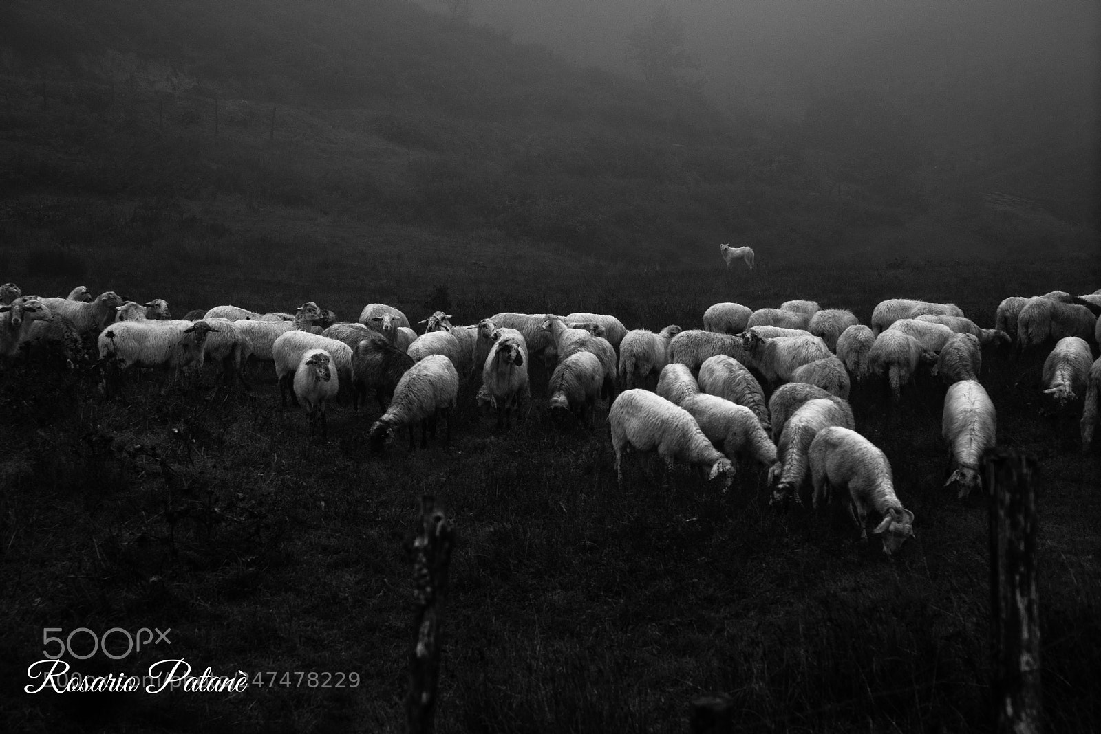 Sony a7R sample photo. Landscape photography