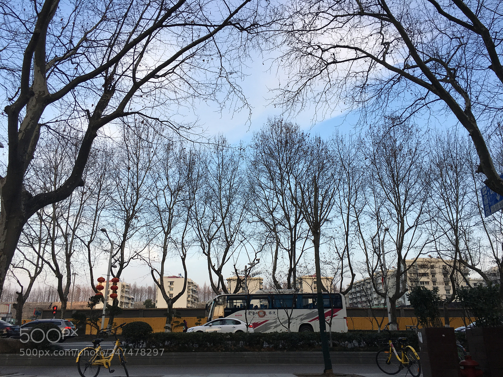 Apple iPhone 6s sample photo. Untitled photography