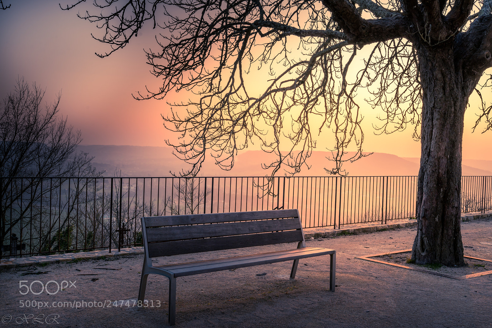 Sony a7R II sample photo. Feel alone photography