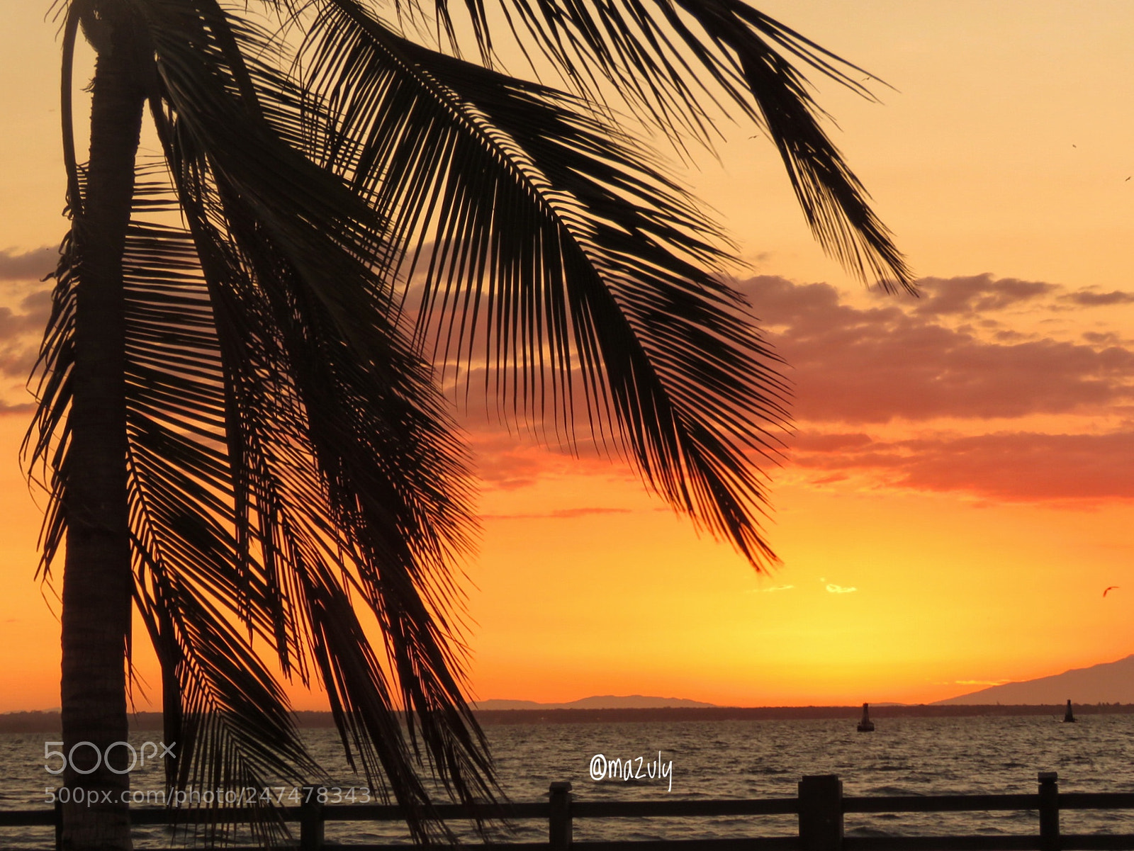 Canon PowerShot SX60 HS sample photo. Palmeras y amanecer photography