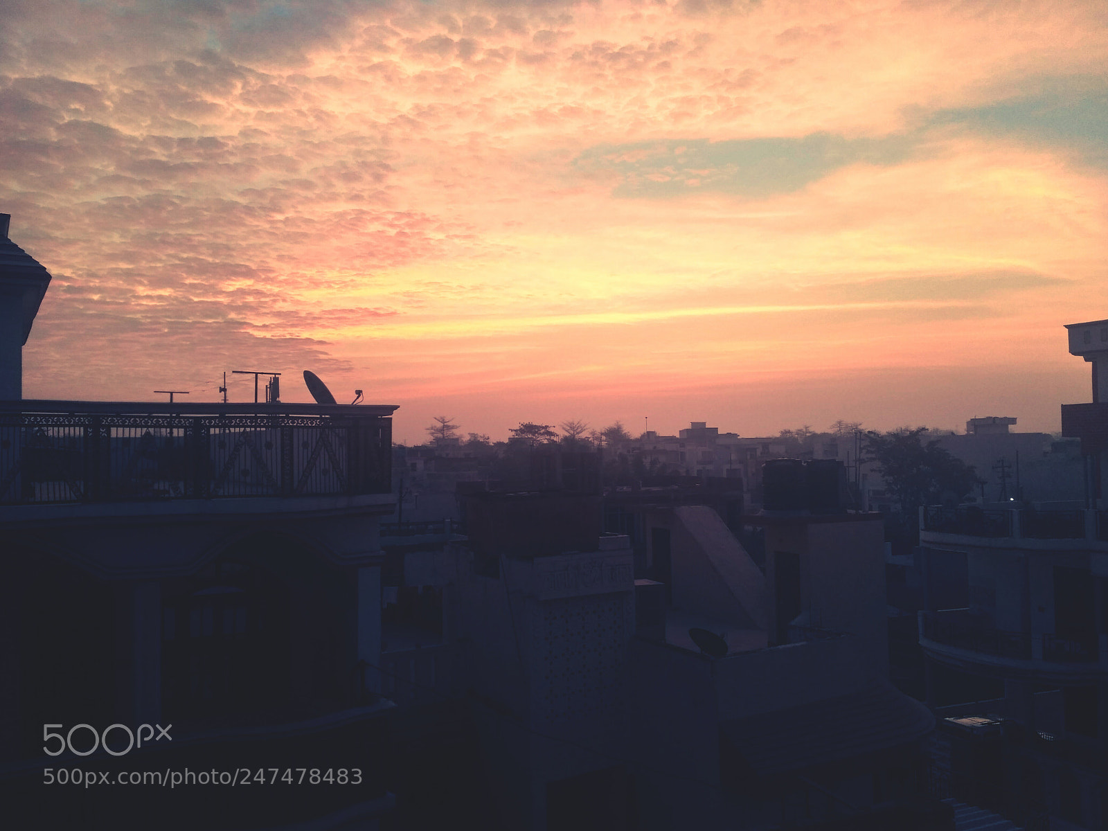 Xiaomi Redmi 3S sample photo. Nature photography