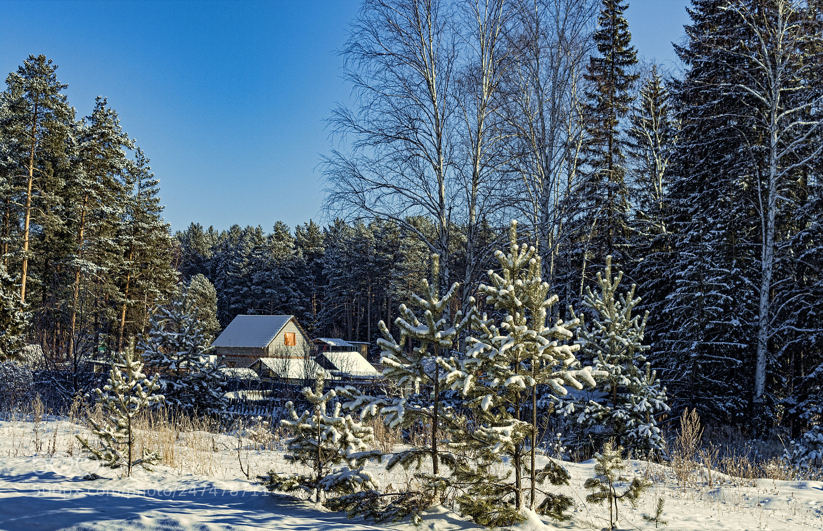 Canon EOS 1300D (EOS Rebel T6 / EOS Kiss X80) sample photo. Snow vs sunlight photography