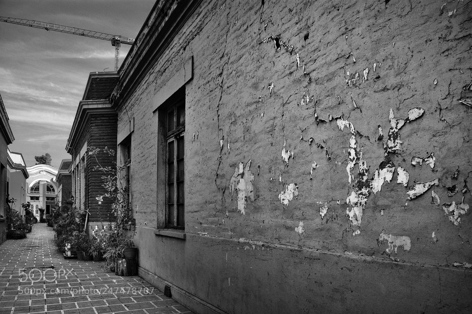 Sony Alpha DSLR-A290 sample photo. Santiago de chile photography