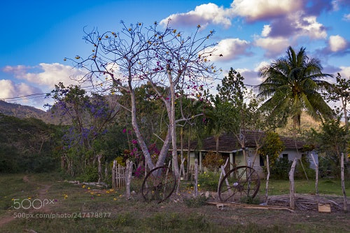Canon EOS 7D sample photo. Untitled photography
