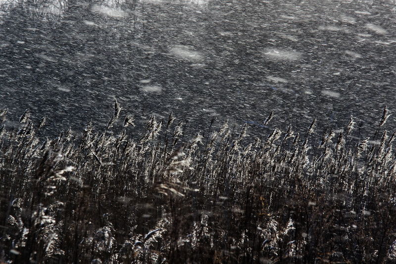 Pentax K-3 II sample photo. Snowstorm photography