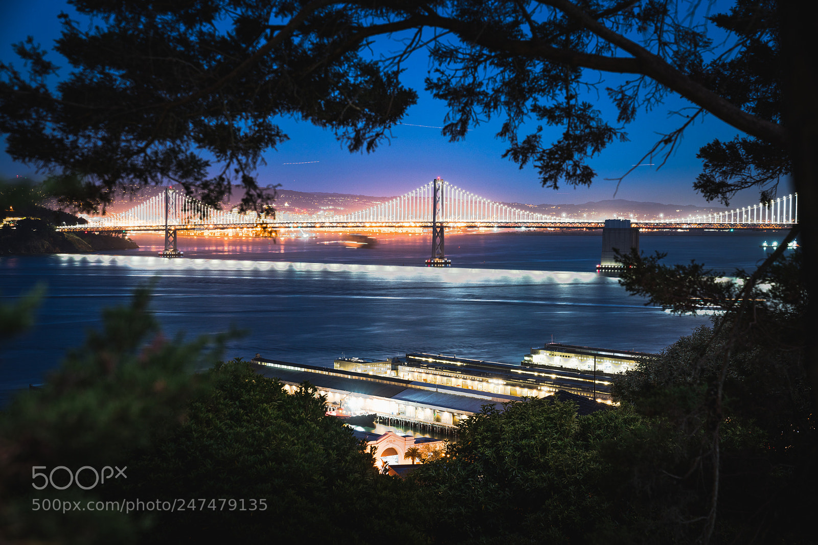 Sony a7R II sample photo. Oakland bridge illuminating photography