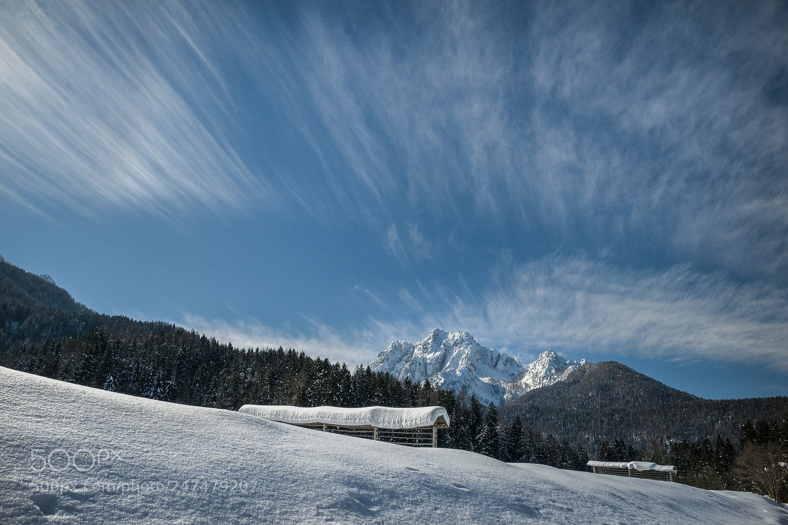 Olympus OM-D E-M1 Mark II sample photo. High rateska ponca photography