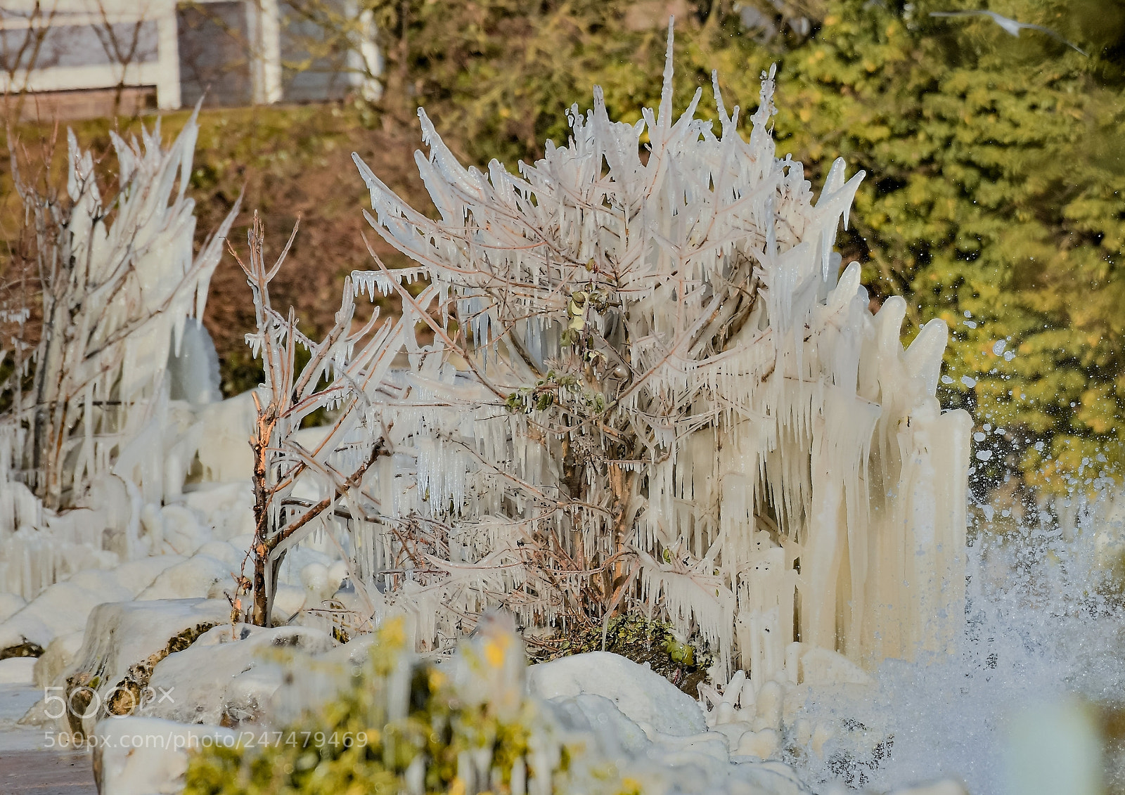 Nikon D500 sample photo. Port de tannay photography