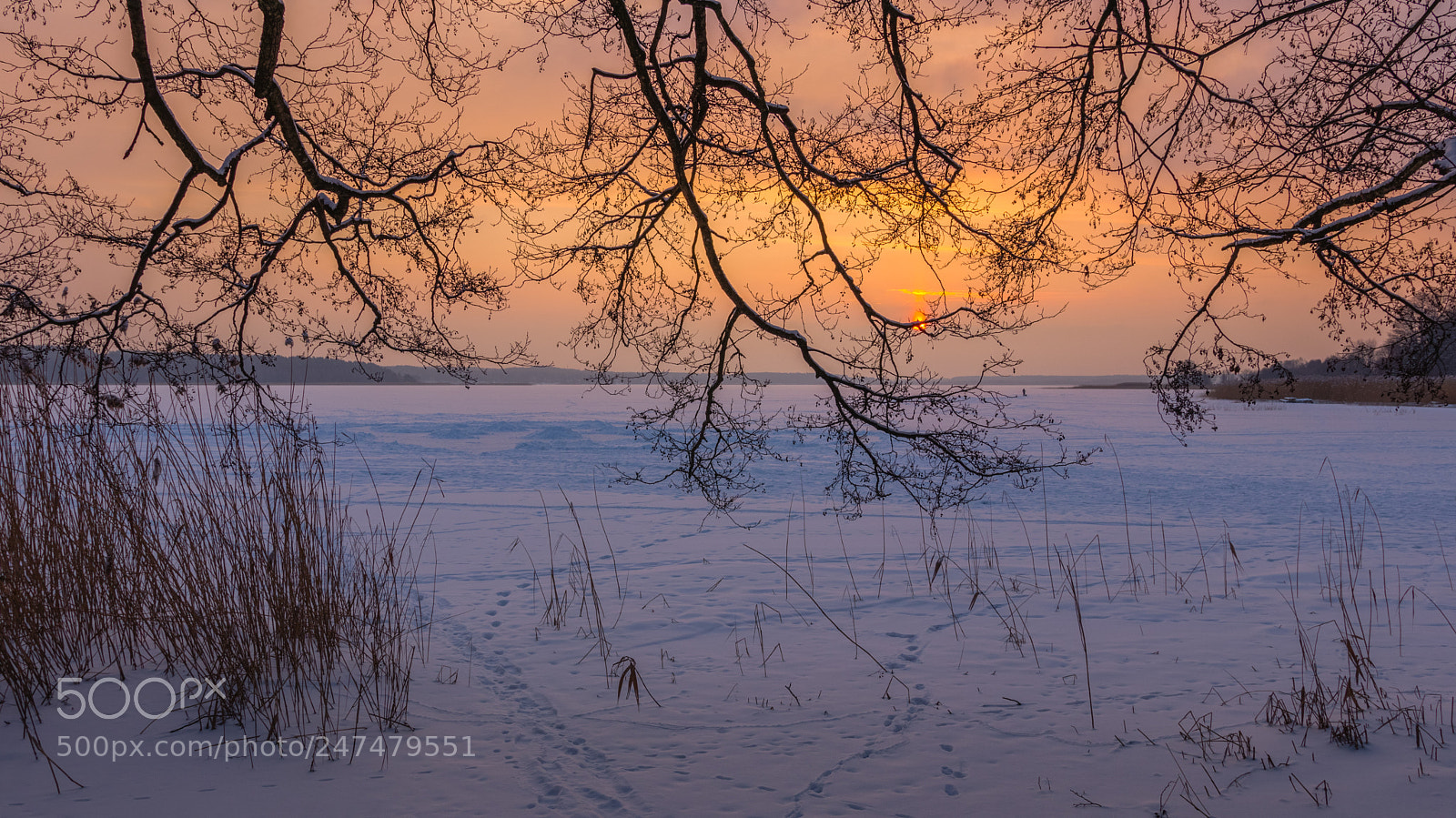 Canon EOS 80D sample photo. Winter sunrise at the photography