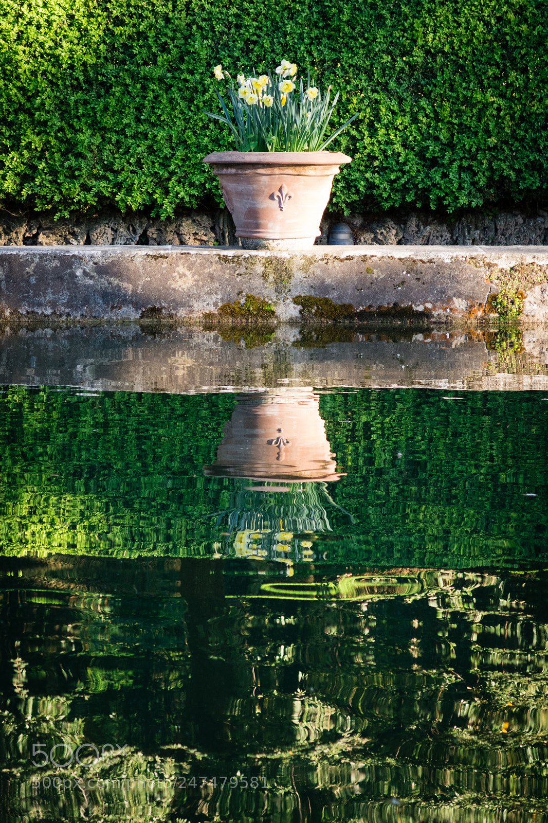 Canon PowerShot G5 X sample photo. Reflecting photography