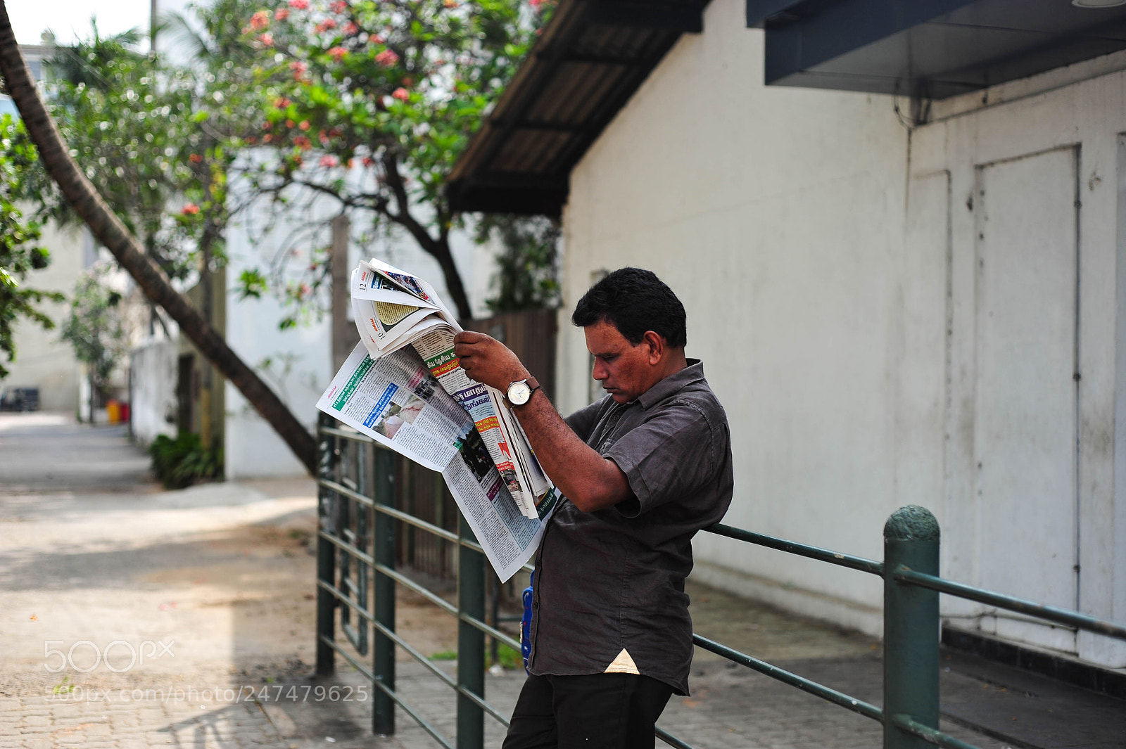 Nikon D700 sample photo. Reader in sri lanka photography