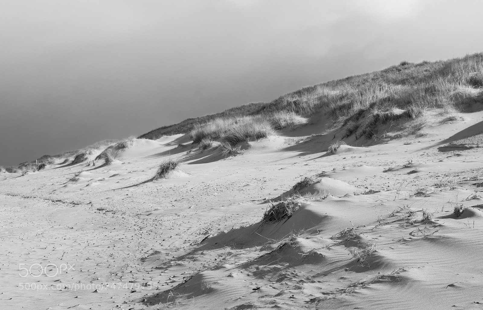 Fujifilm X-T1 sample photo. Norderney t2 photography