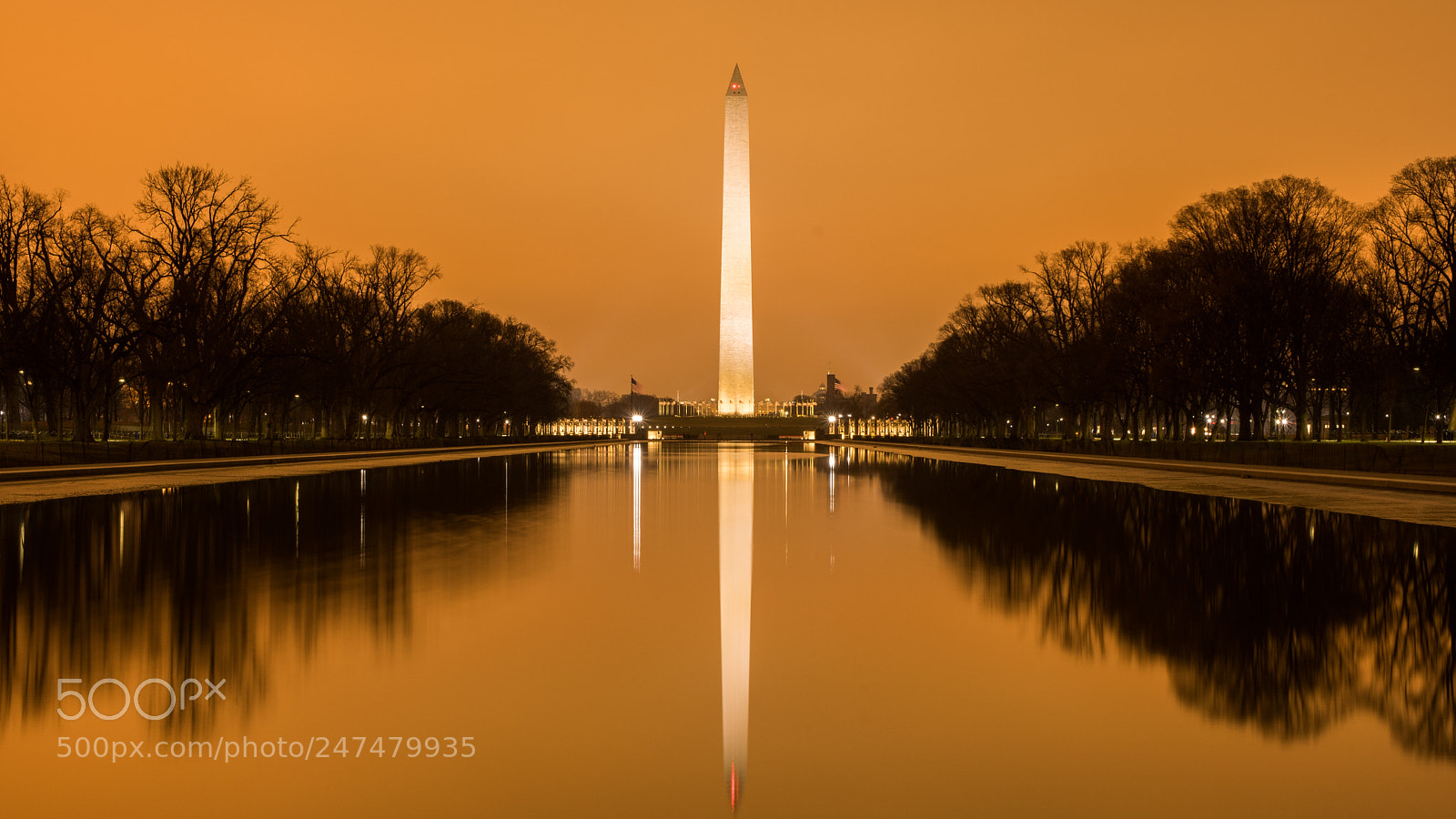 Nikon D500 sample photo. Washington monument photography