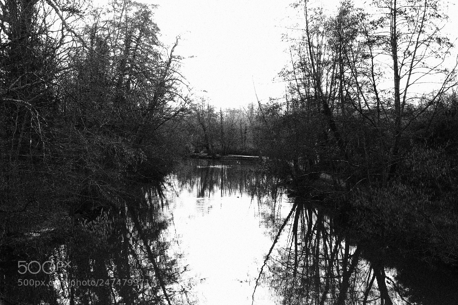 Canon EOS 650D (EOS Rebel T4i / EOS Kiss X6i) sample photo. Ma rivière photography