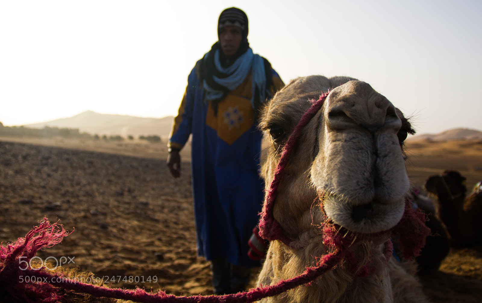 Canon EOS 60D sample photo. Merzouga photography