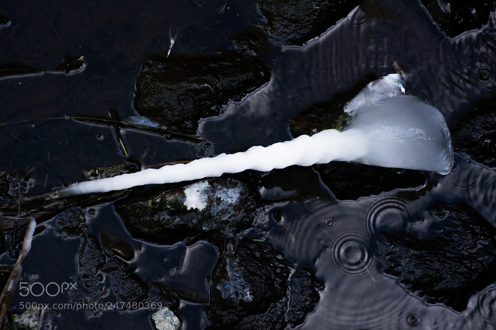 Nikon D7100 sample photo. A souvenir of a photography