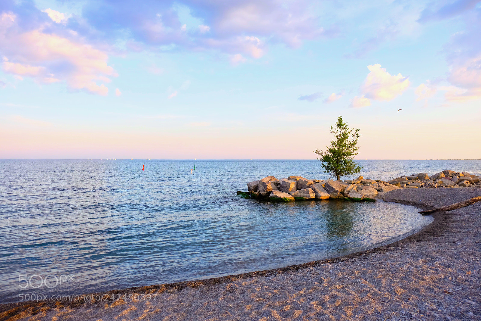 Fujifilm X-T1 sample photo. Last rays of sun photography