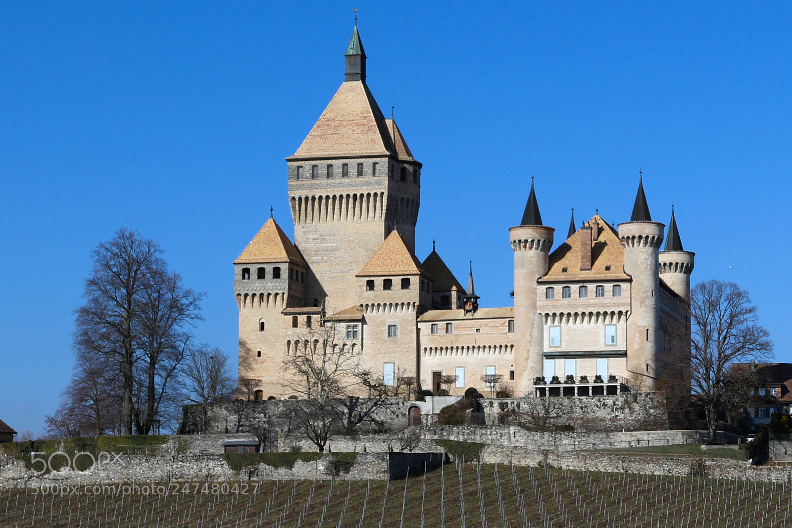 Canon EOS 7D Mark II sample photo. Vufflens-le-chateau photography
