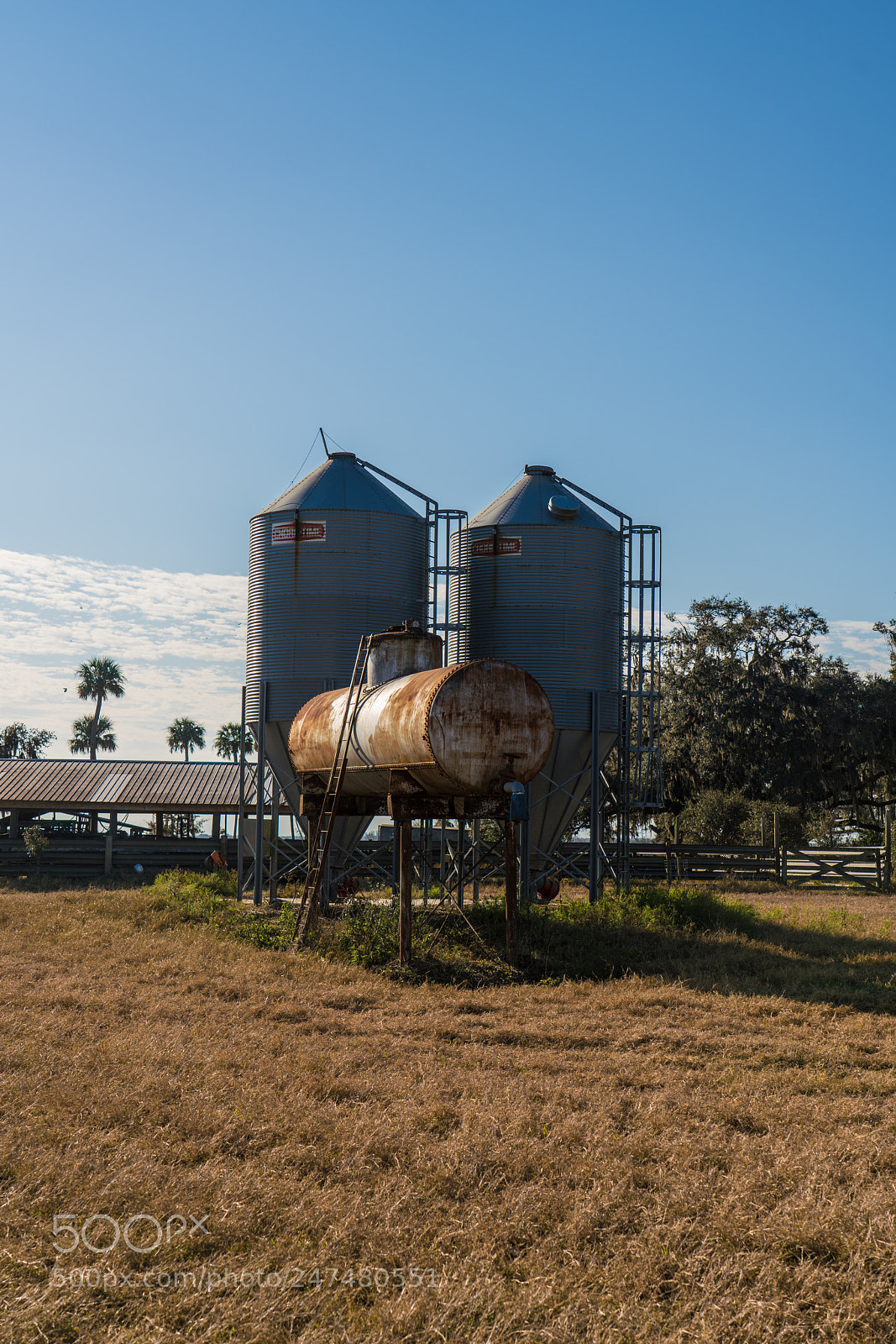 Sony a7R III sample photo. Morning picture from my photography