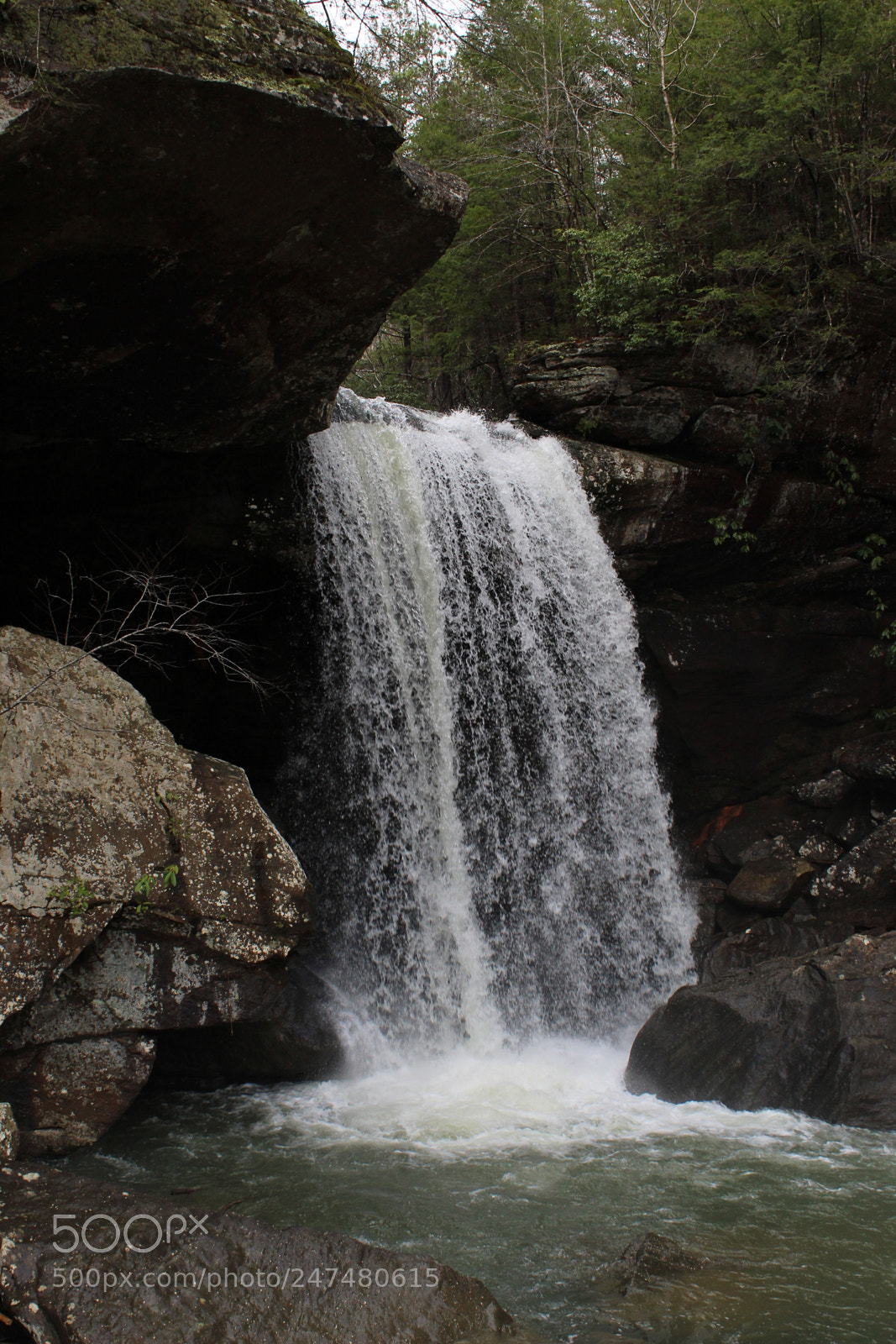 Canon EOS 1300D (EOS Rebel T6 / EOS Kiss X80) sample photo. Eagle falls photography