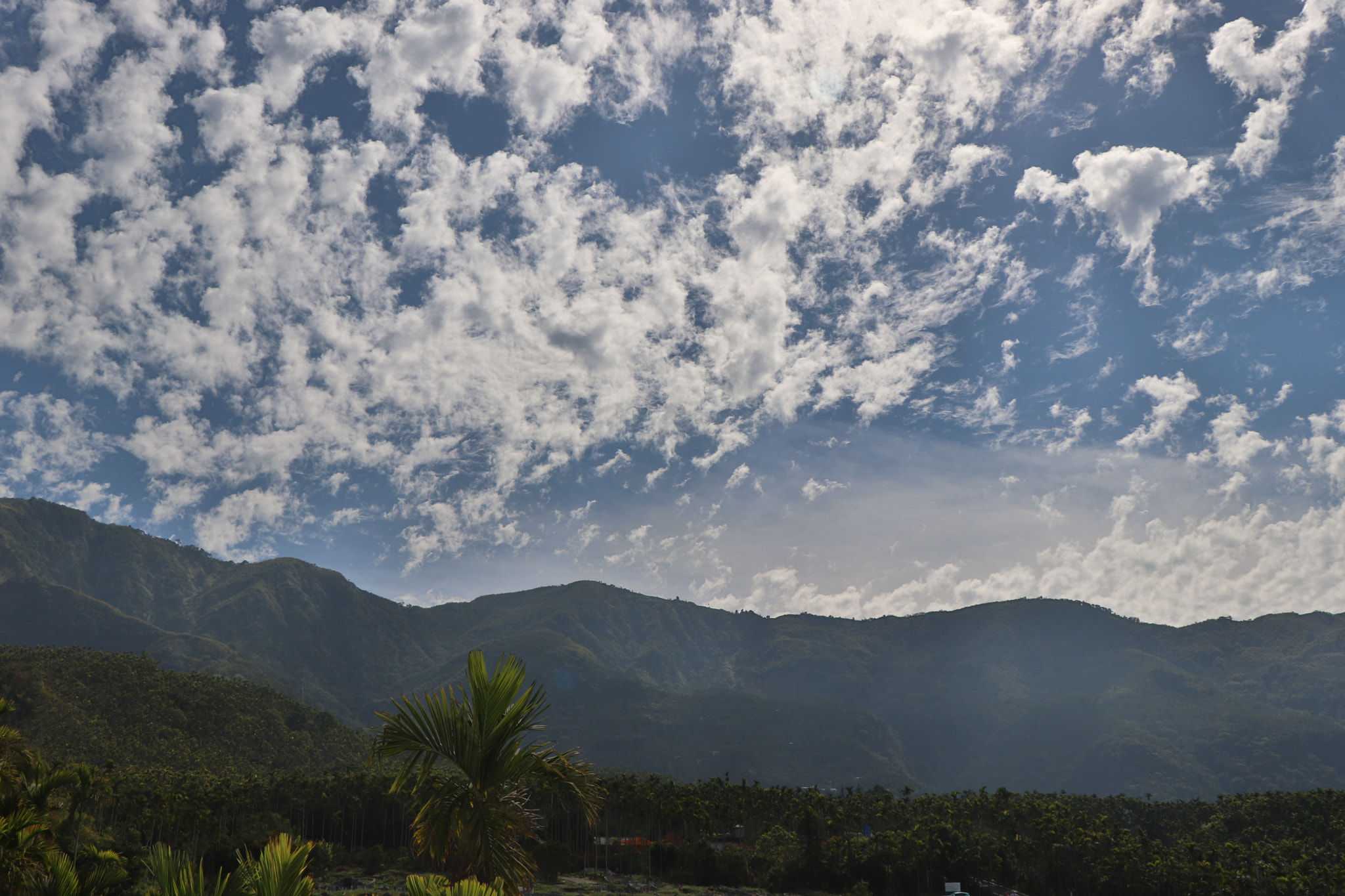 Canon EOS 77D (EOS 9000D / EOS 770D) sample photo. 雲林：古坑 photography