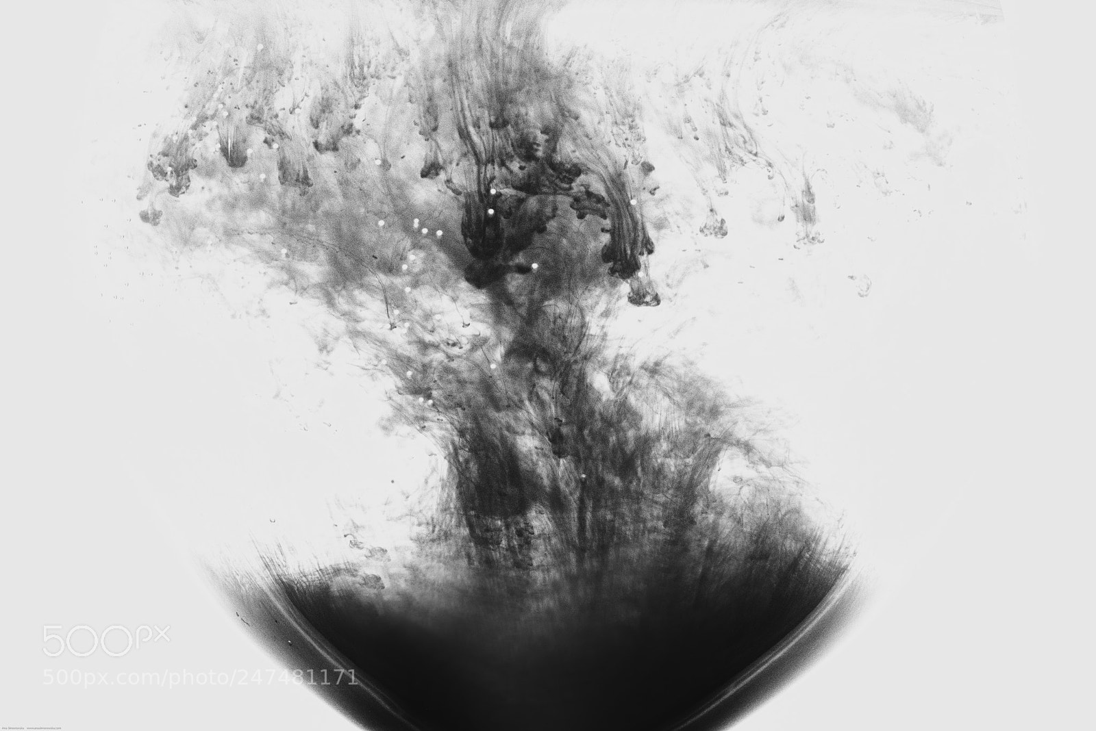 Nikon D810 sample photo. Ink photography