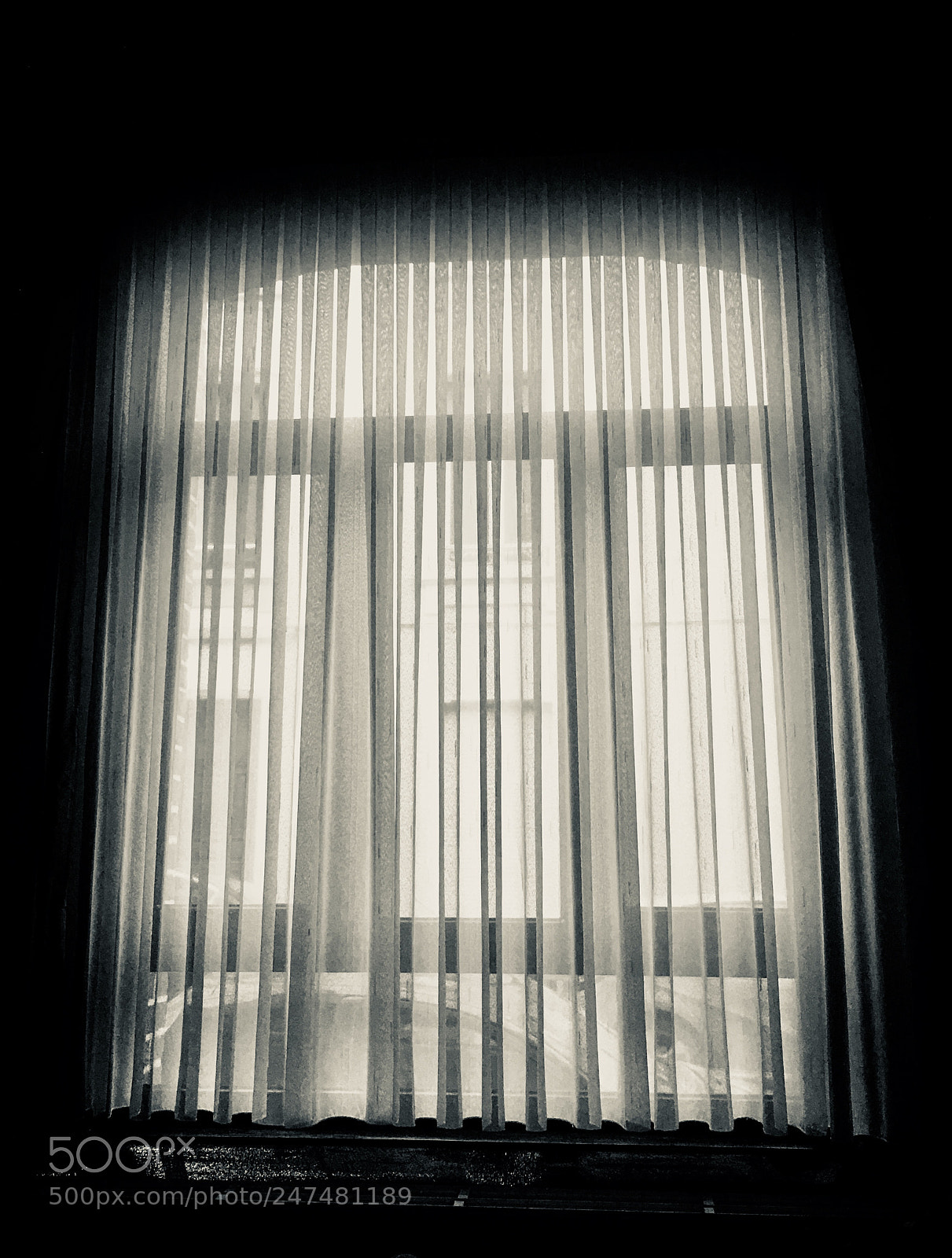Apple iPhone 6s Plus sample photo. Untitled photography