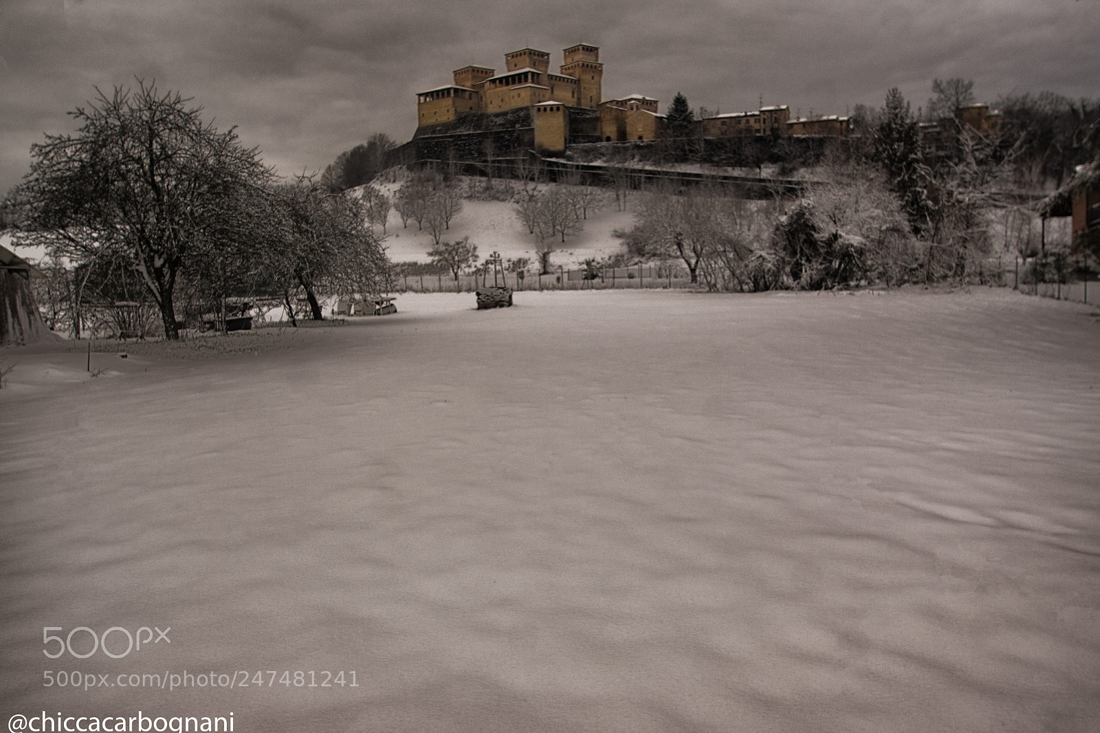 Sony SLT-A77 sample photo. Torrechiara photography