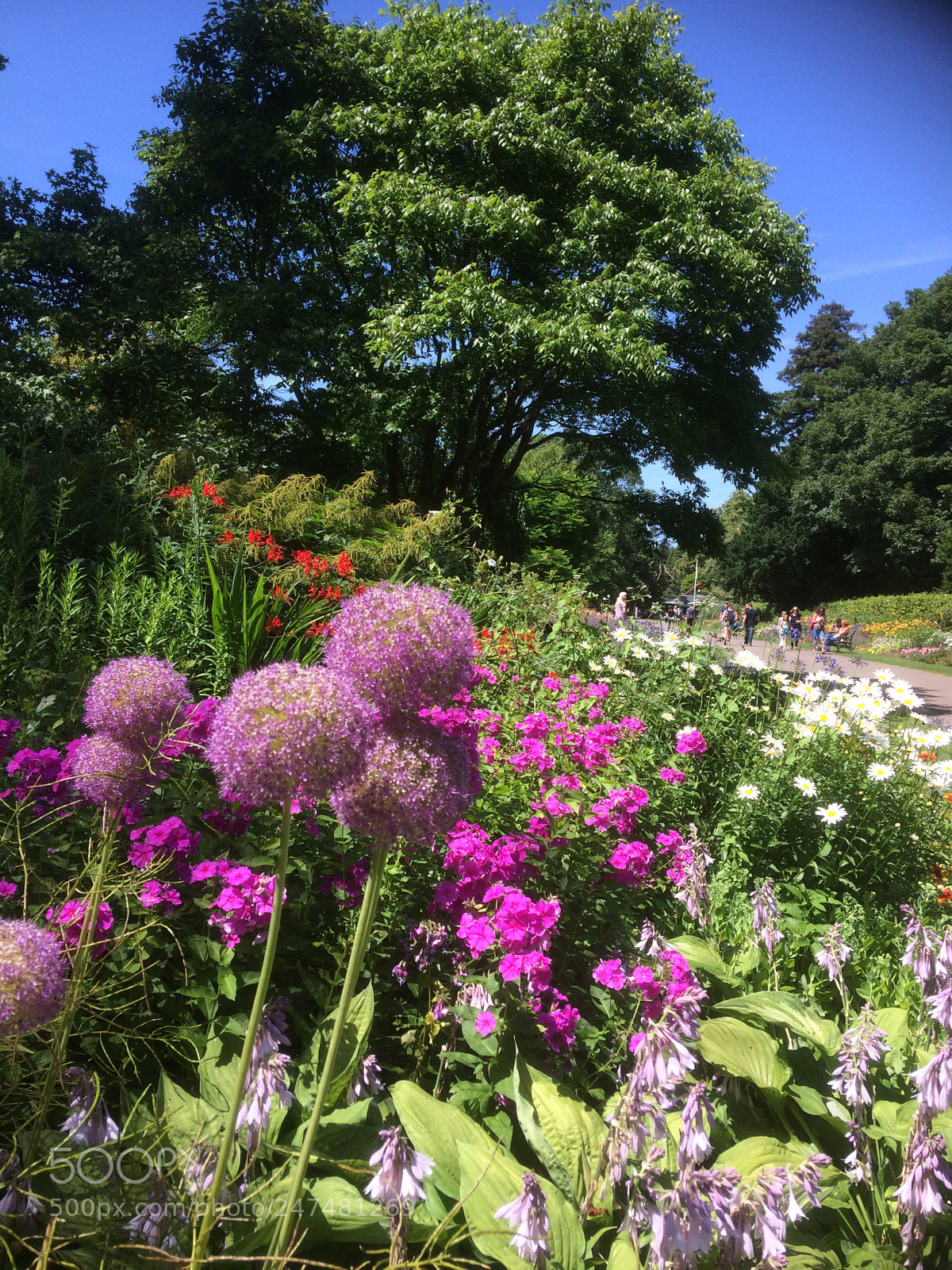 Apple iPhone 5s sample photo. Cardiff castle gardens. photography