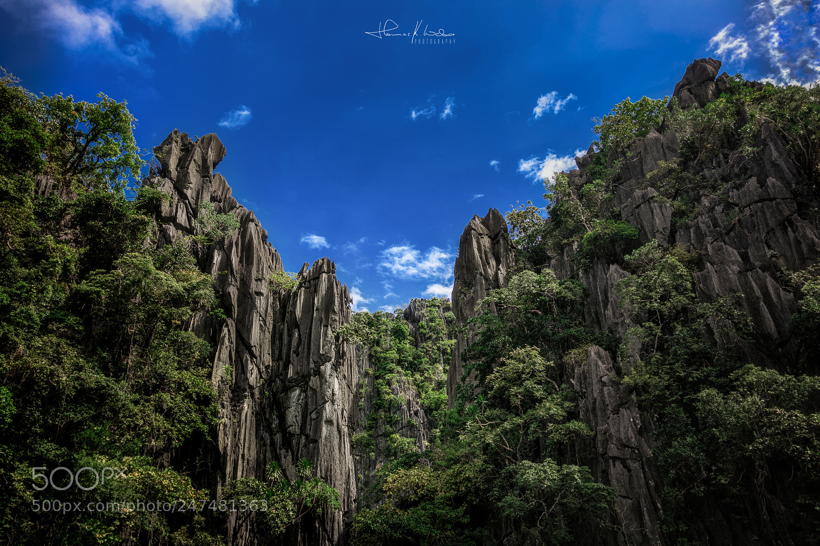 Canon EOS 5DS R sample photo. Natural gate to a photography