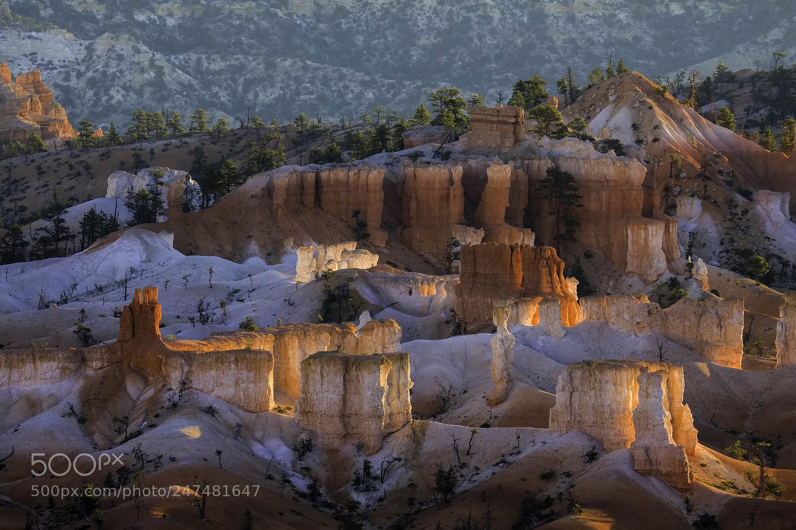 Canon EOS 50D sample photo. Glowing hoodoos in bryce photography