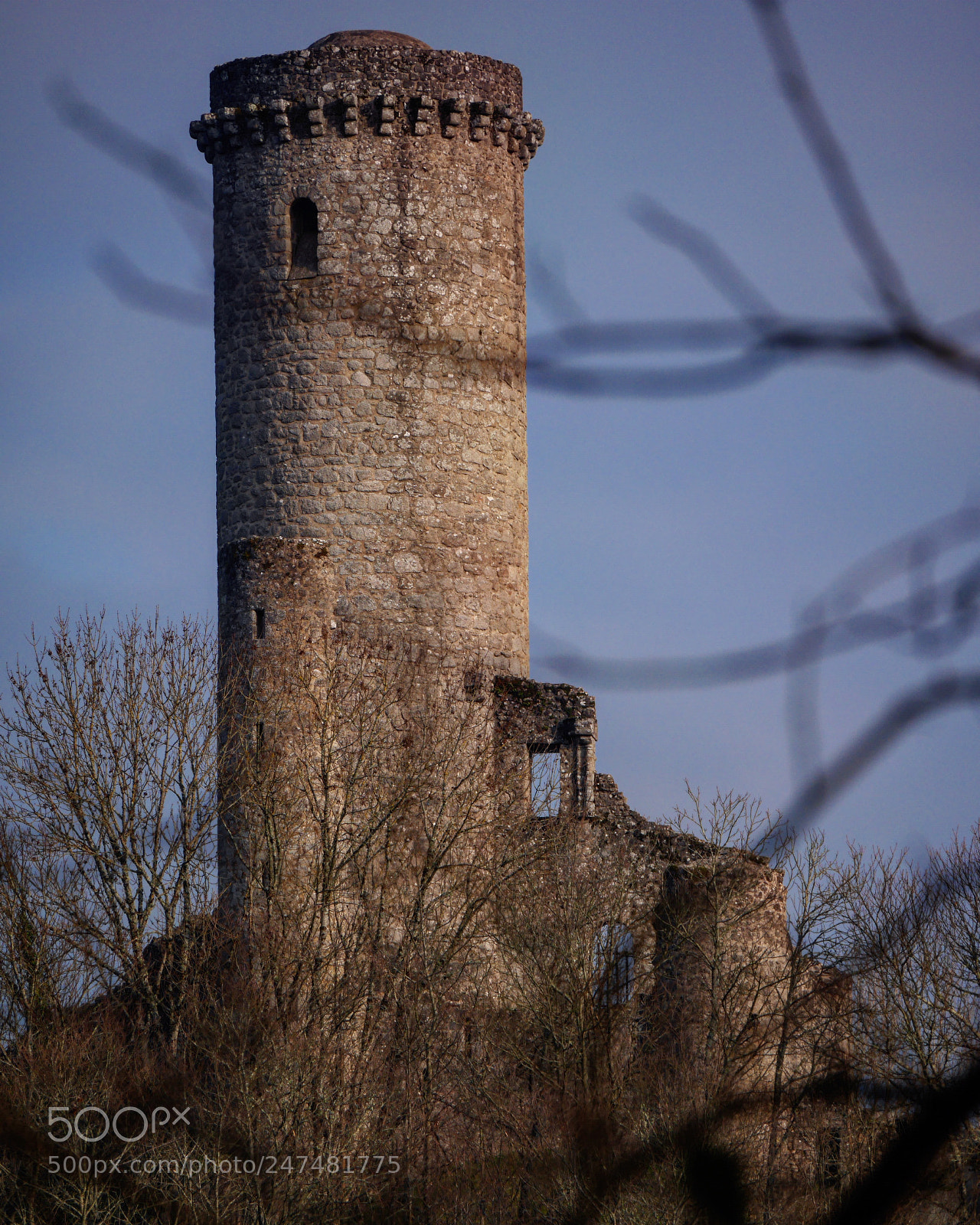 Panasonic Lumix DMC-GX7 sample photo. Donjon photography