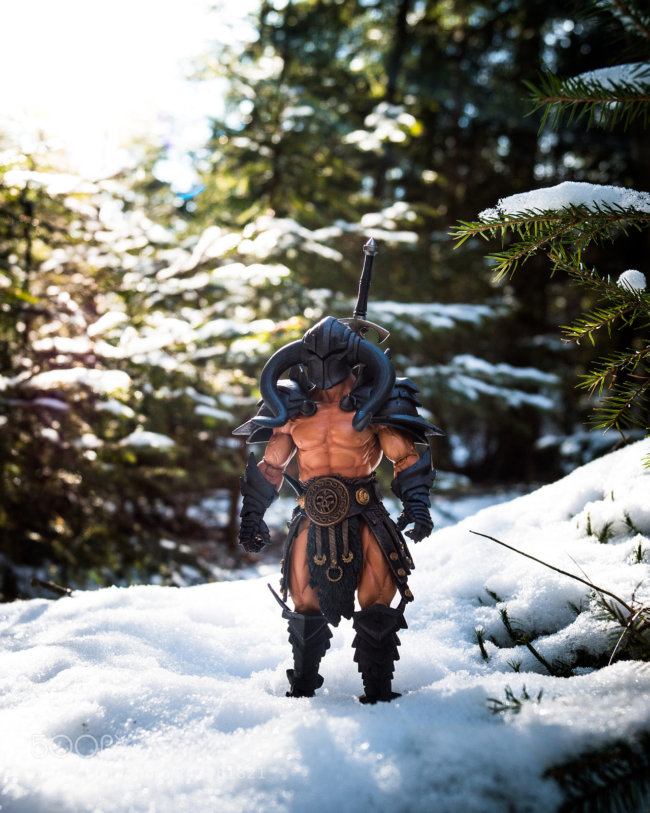 Sony SLT-A68 sample photo. Warrior in the woods photography