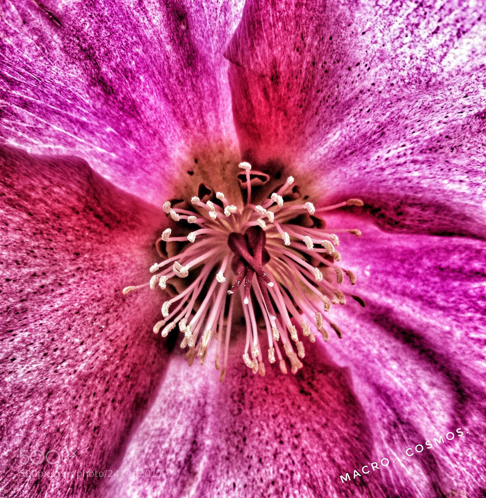 HUAWEI P9 sample photo. Untitled photography