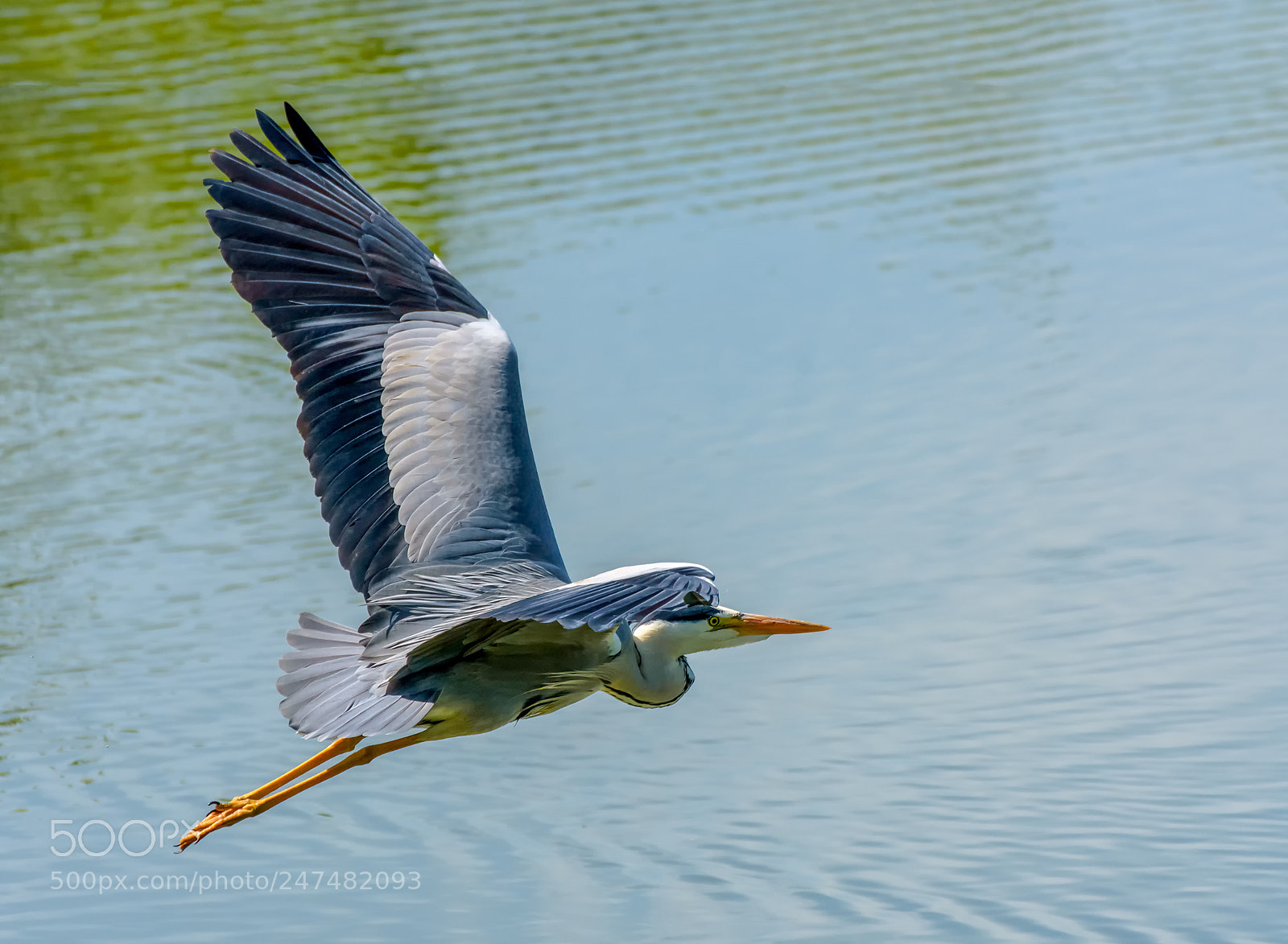 Nikon D7200 sample photo. In flight photography