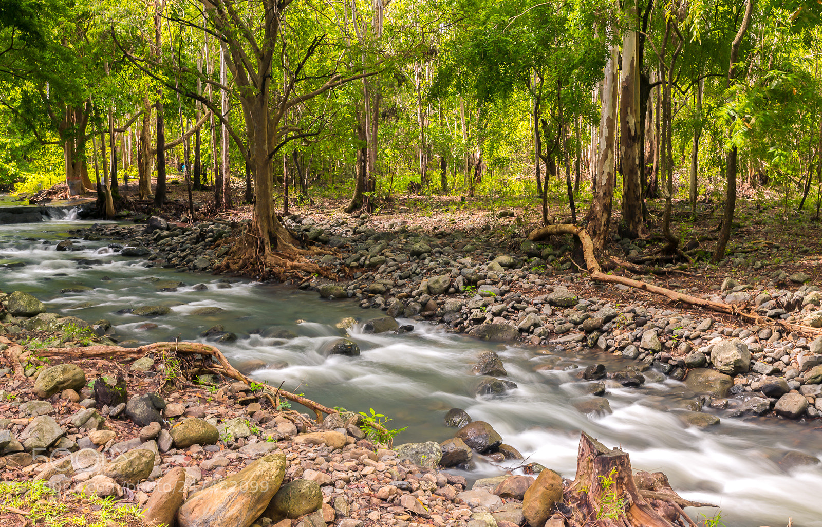 Nikon D850 sample photo. River after the flash photography