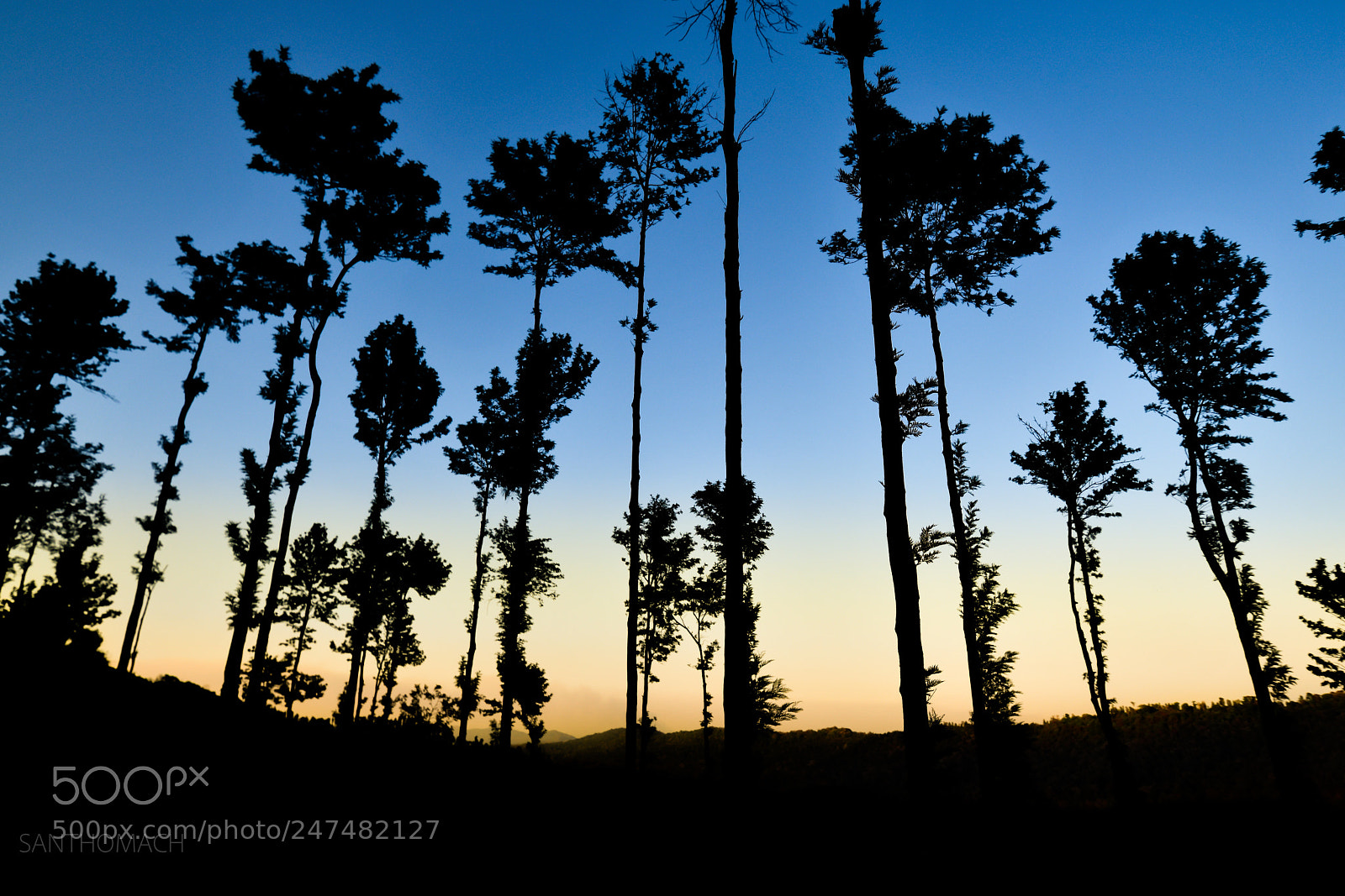 Nikon D850 sample photo. Beautiful sunset photography