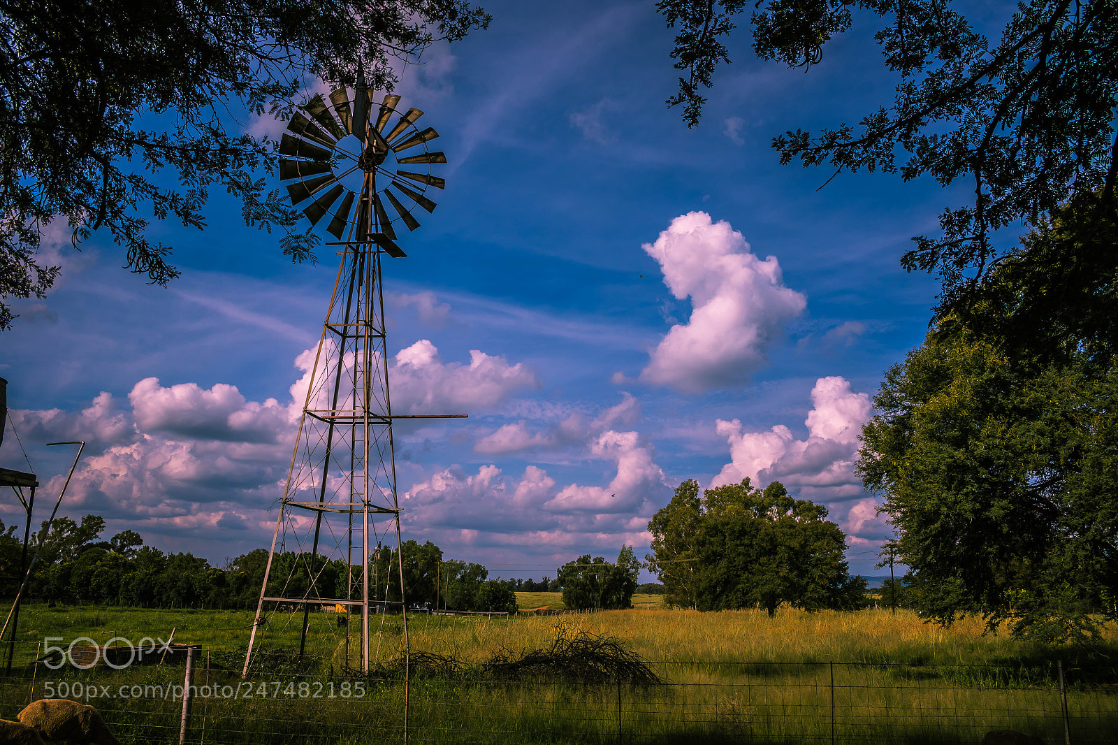 Canon EOS 7D Mark II sample photo. Windmill photography