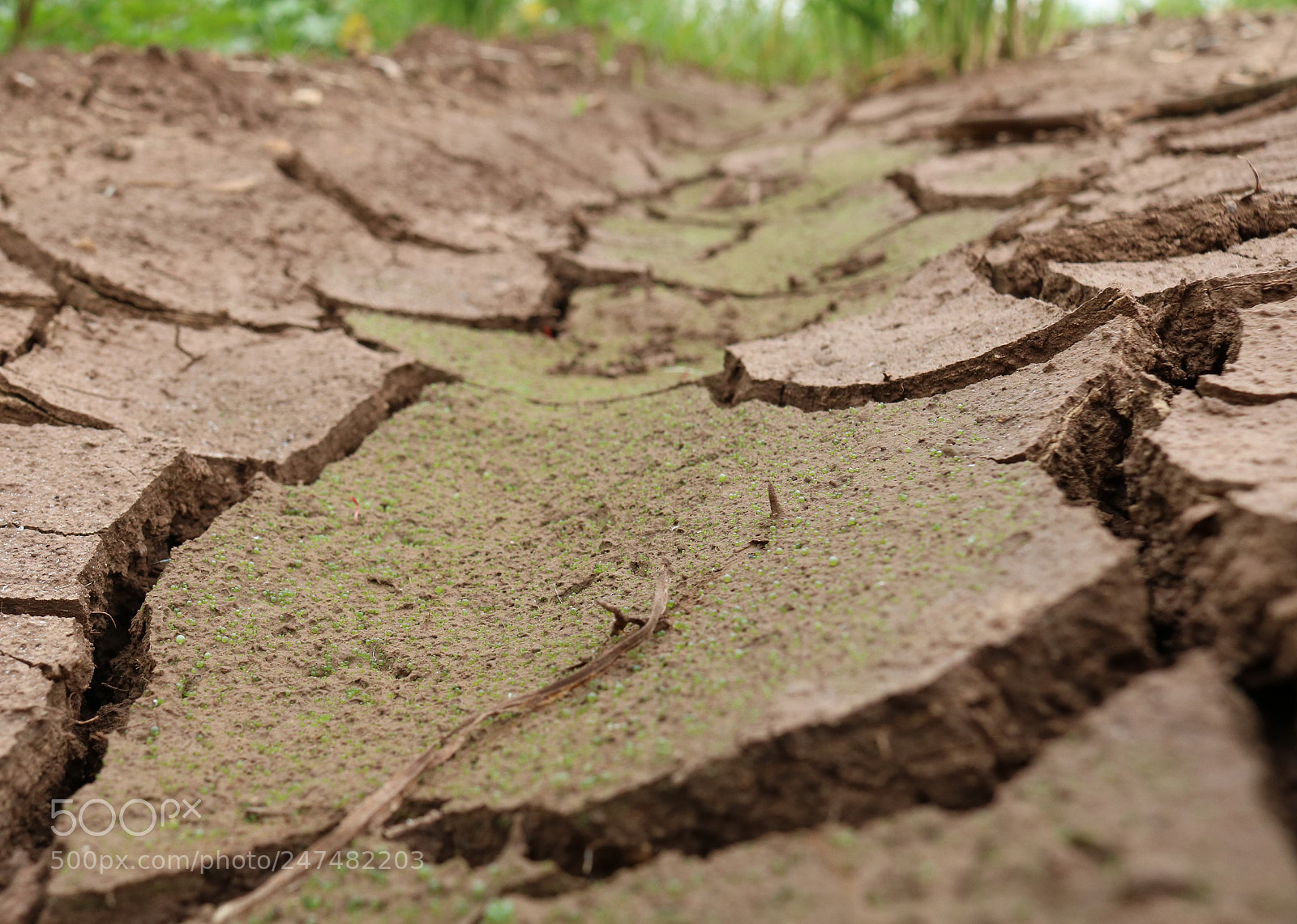 Canon EOS 750D (EOS Rebel T6i / EOS Kiss X8i) sample photo. Parched land photography