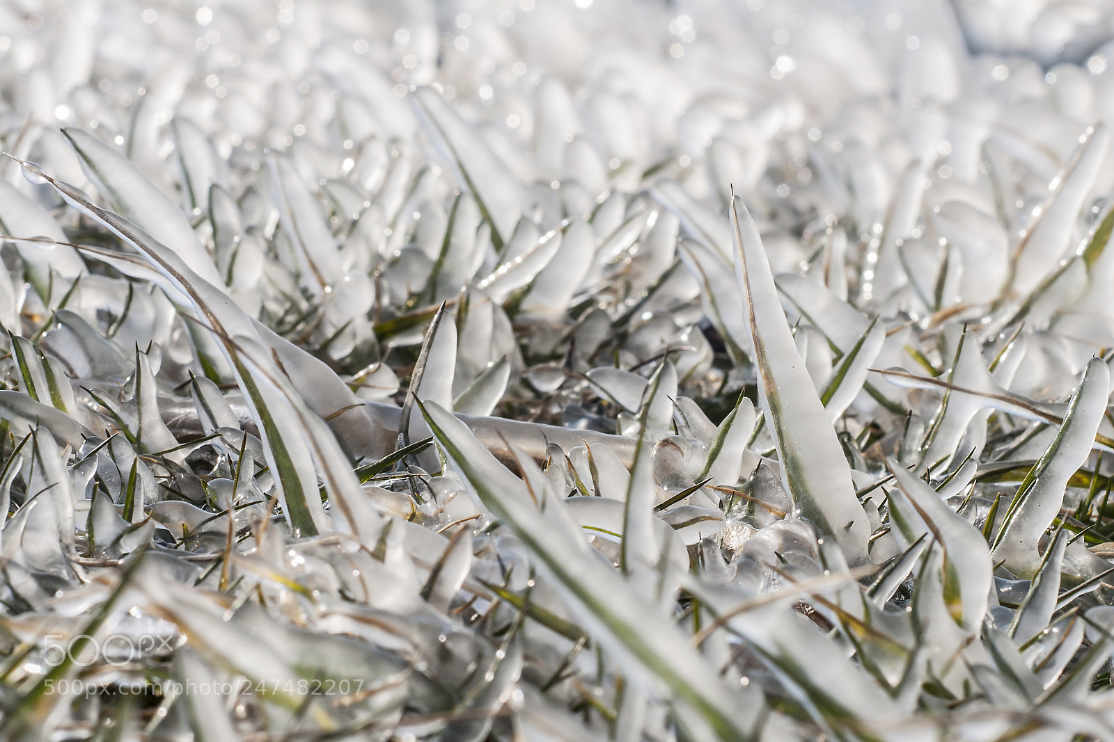 Nikon D90 sample photo. Ice photography