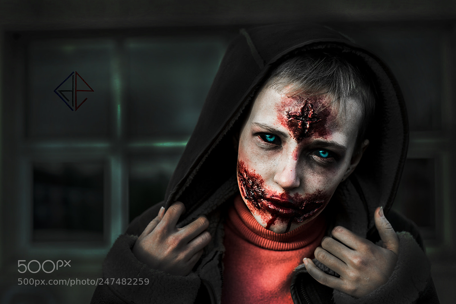 Nikon D800 sample photo. Blond woman wearing hood photography