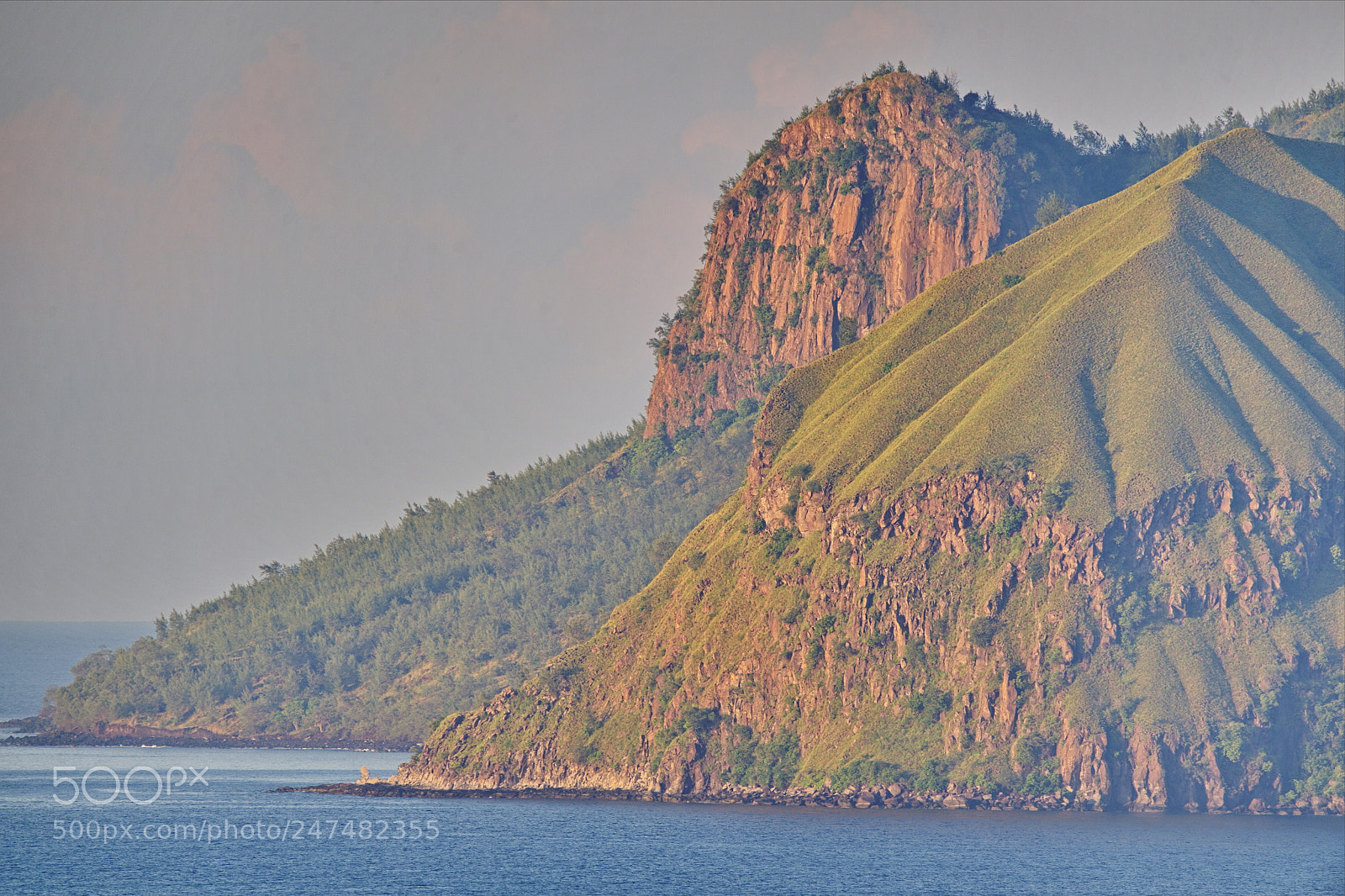 Nikon D4S sample photo. Ende in the morning photography