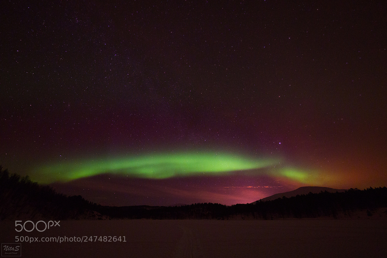Olympus OM-D E-M1 Mark II sample photo. Dance aurora! photography