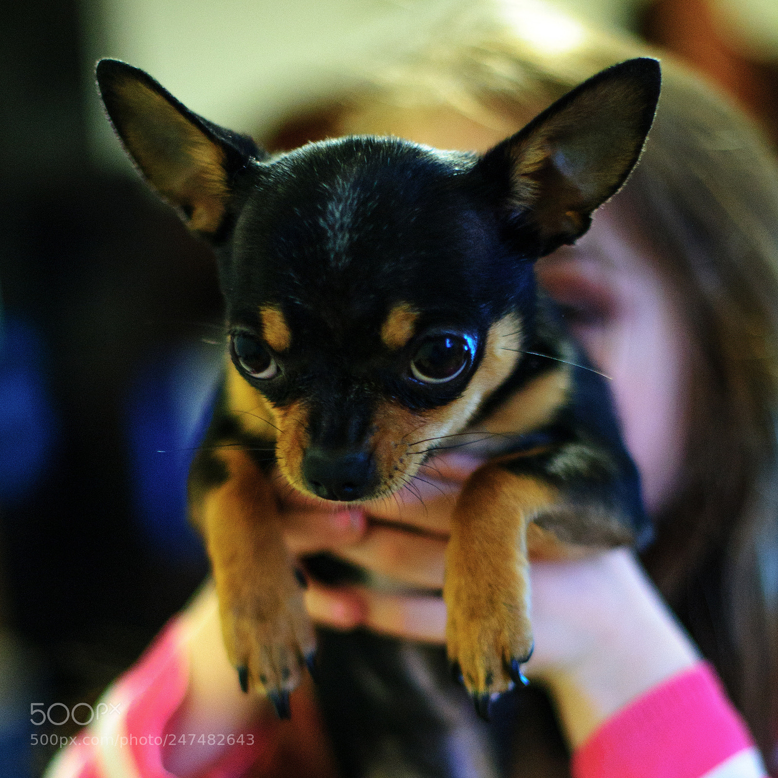 Nikon D3S sample photo. Лекс photography