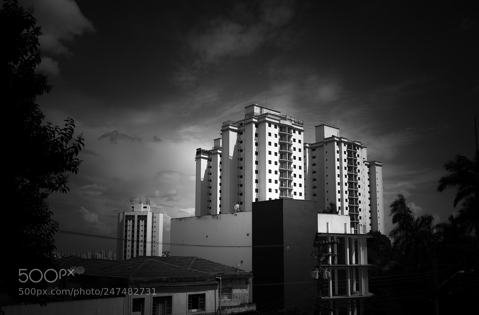 Nikon D810 sample photo. Bw photography
